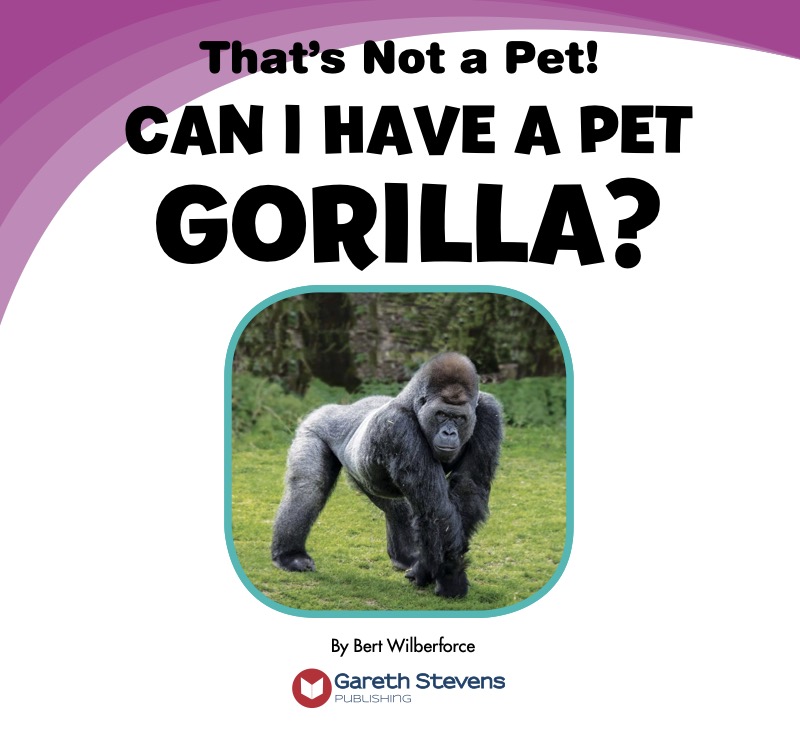 Can I Have a Pet Gorilla? book cover