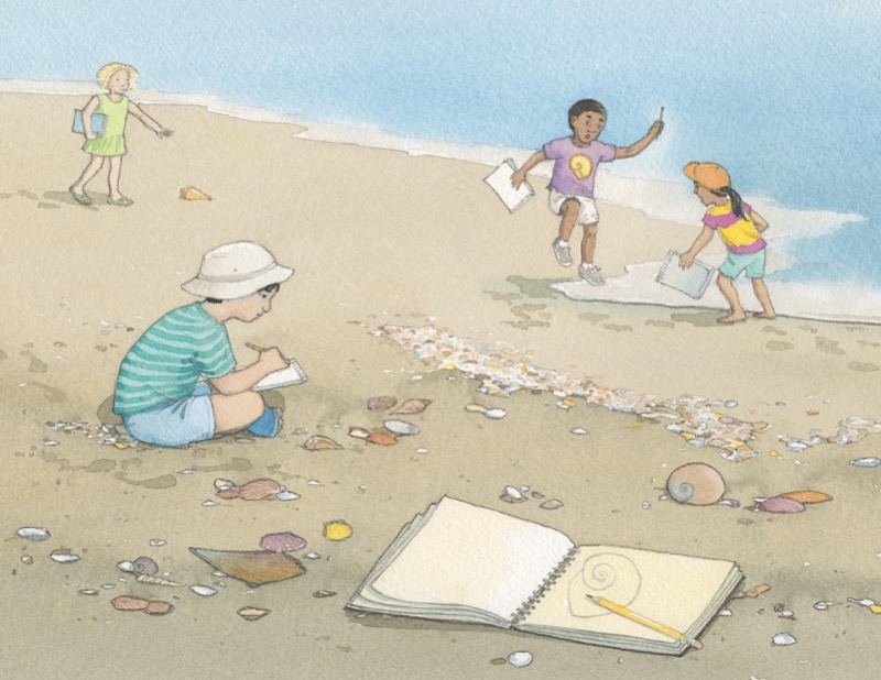 Seashells — page 1