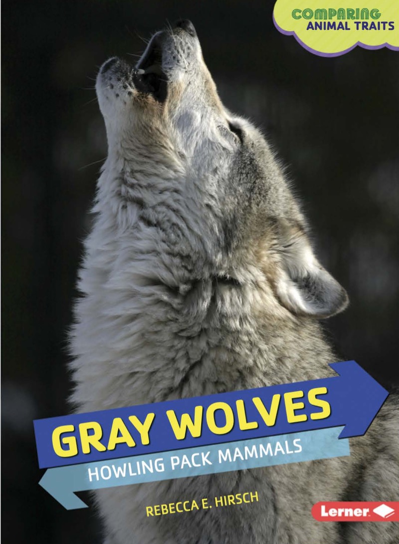 Gray Wolves: Howling Pack Mammals book cover