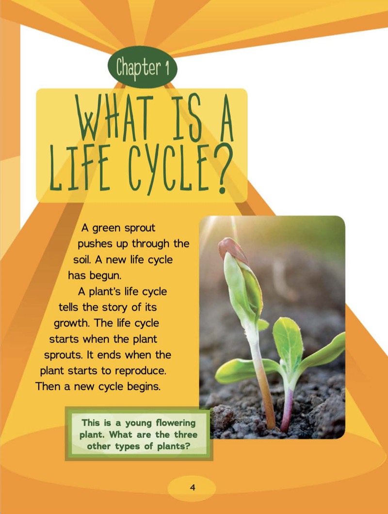 Investigating Plant Life Cycles — page 1