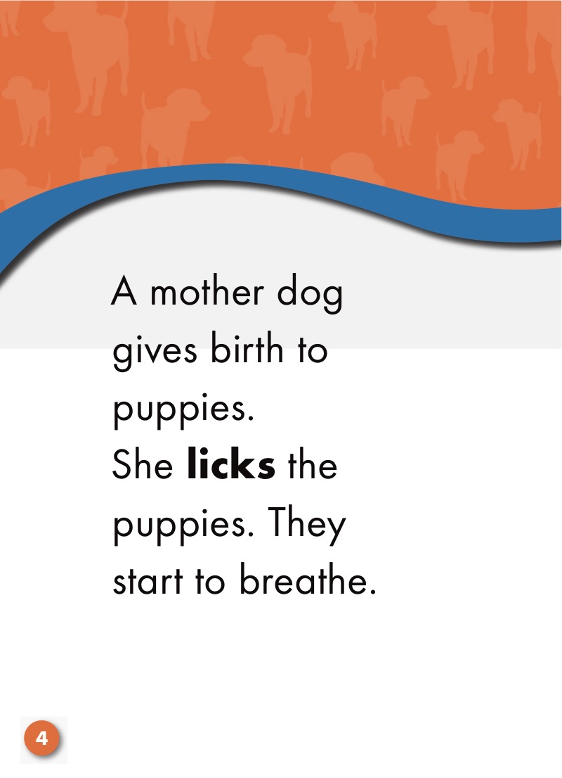 Puppies: Watch Animals Grow — page 1
