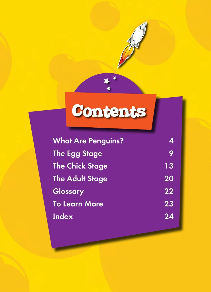 The Life Cycle of a Penguin book cover