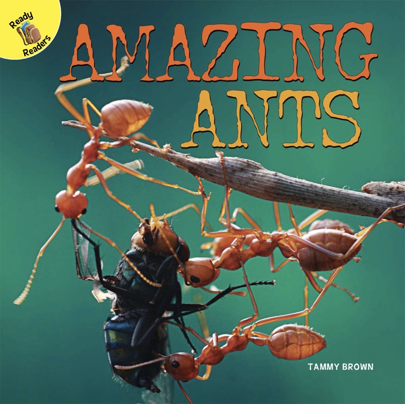 Amazing Ants book cover