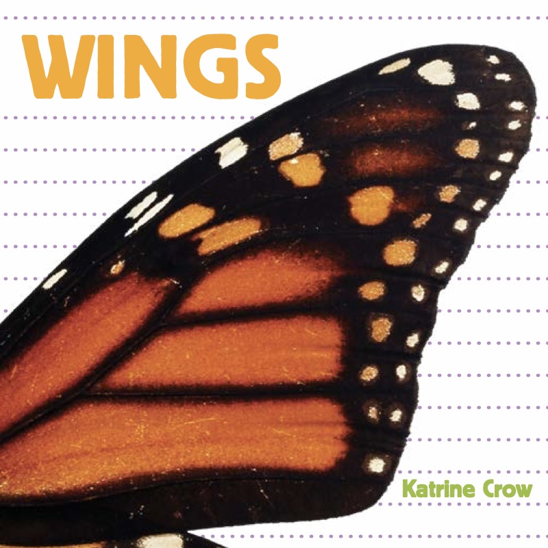 Wings book cover