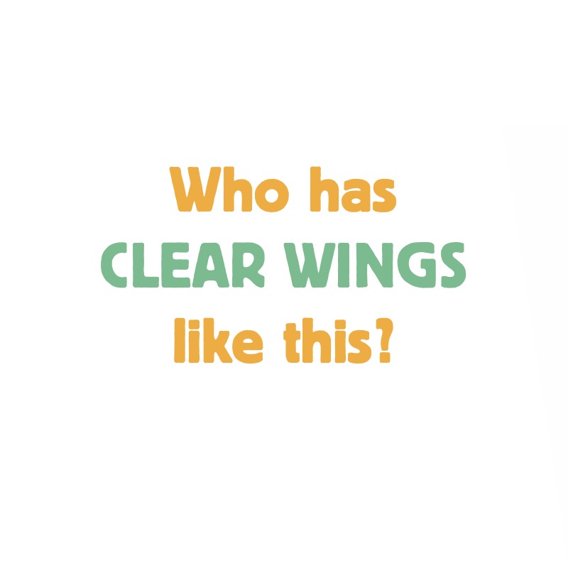 Wings — page 1