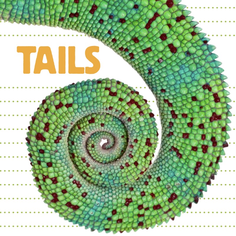 Tails book cover