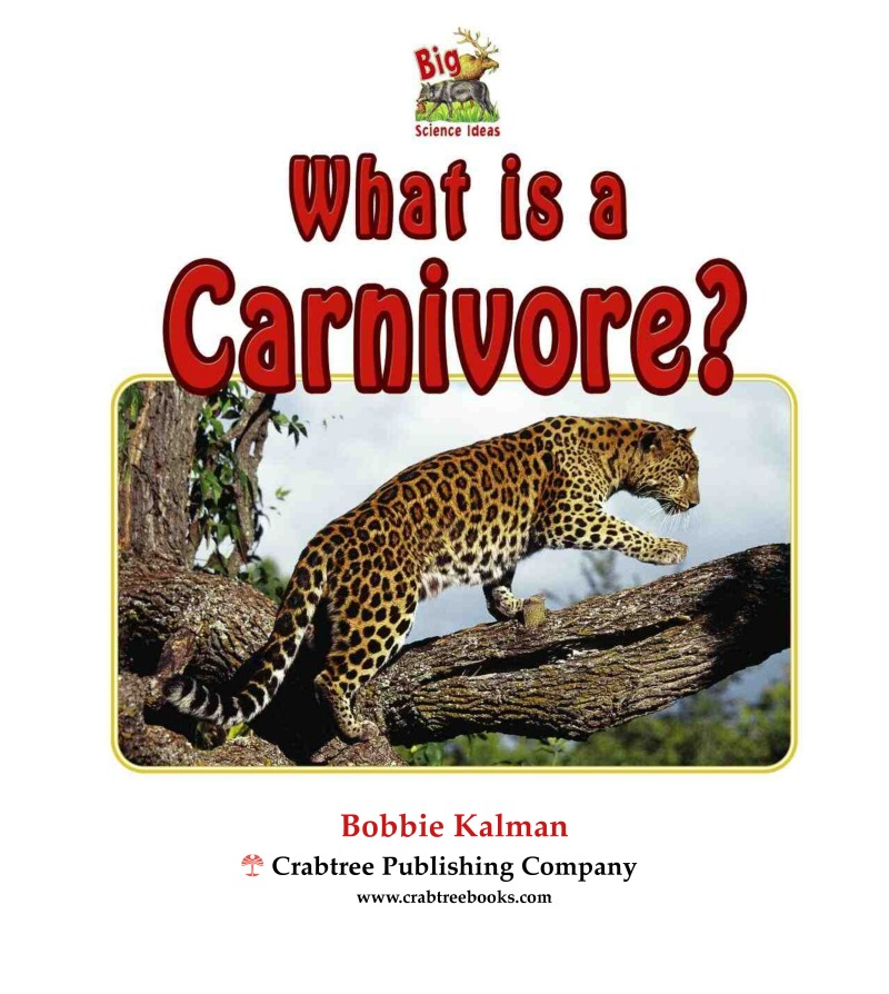 What is a Carnivore? book cover