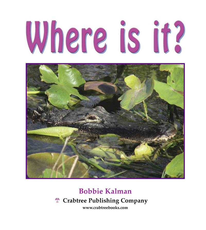 Where is it? book cover