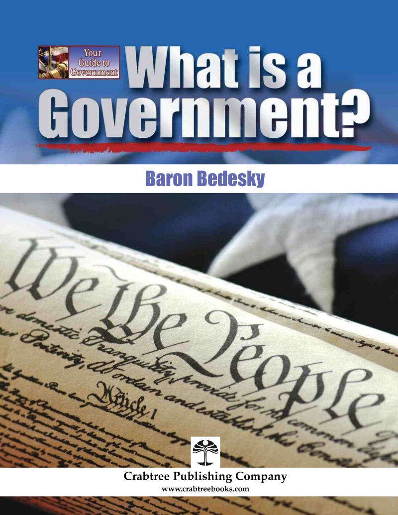 What is a Government? book cover