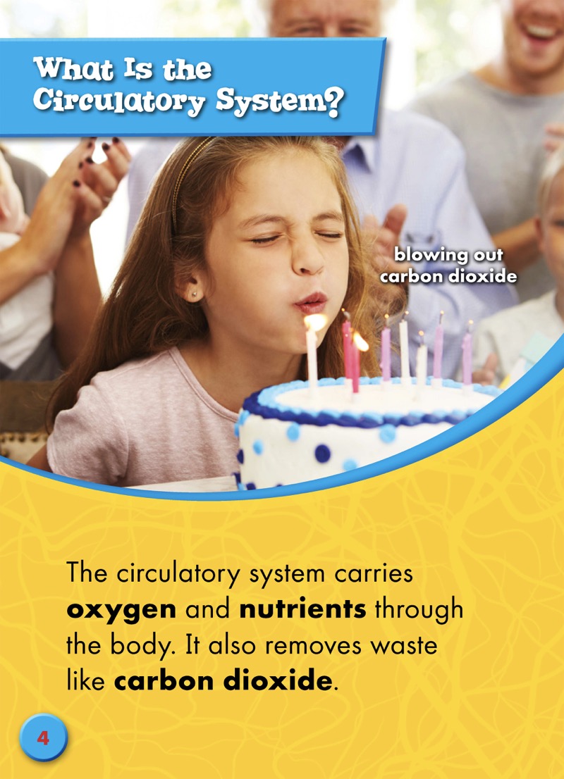 The Circulatory System — page 1