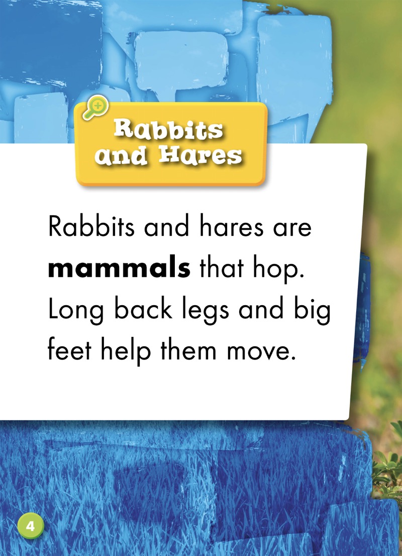 Rabbit or Hare? — page 1