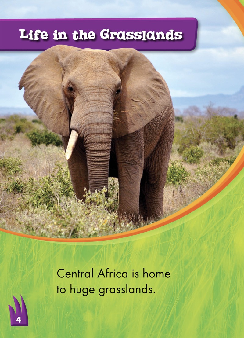 African Elephants — page 1