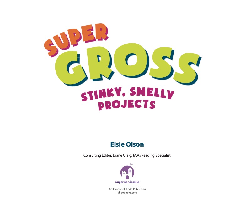 Super Gross Stinky, Smelly, Projects book cover