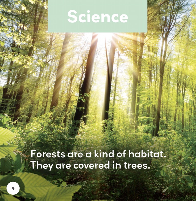 Forests — page 1