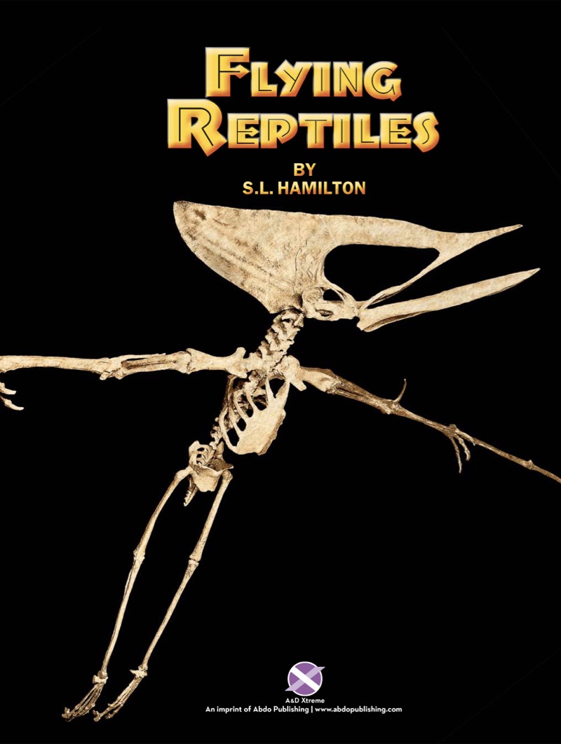 Flying Reptiles book cover