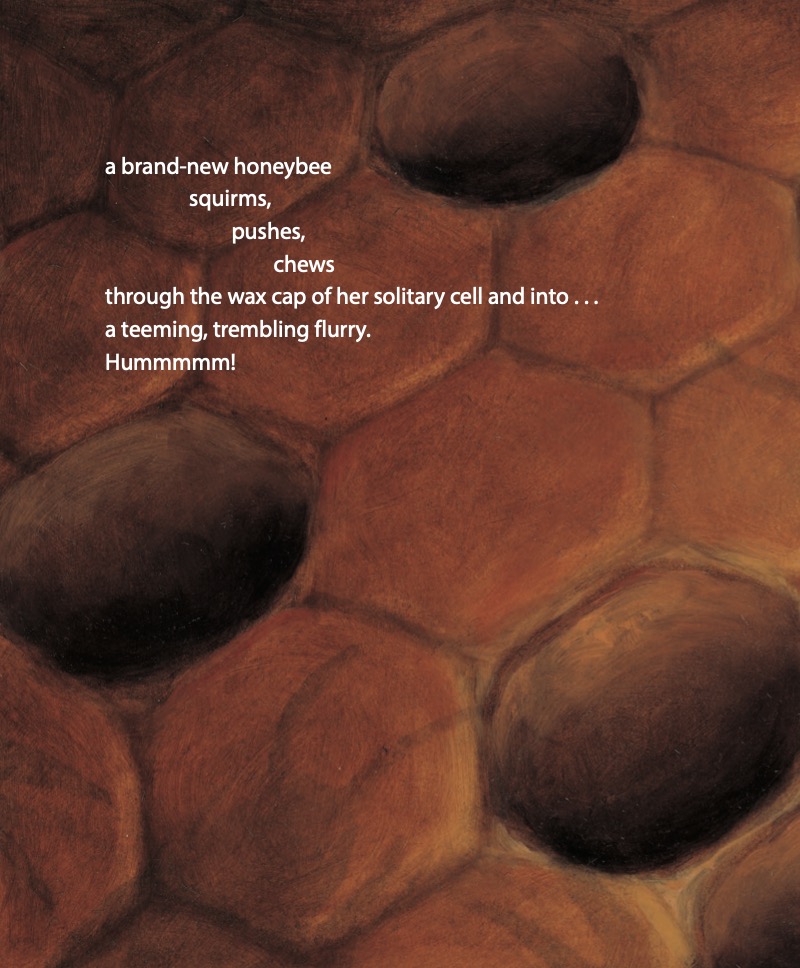 Honeybee: The Busy Life of Apis Mellifera — page 1