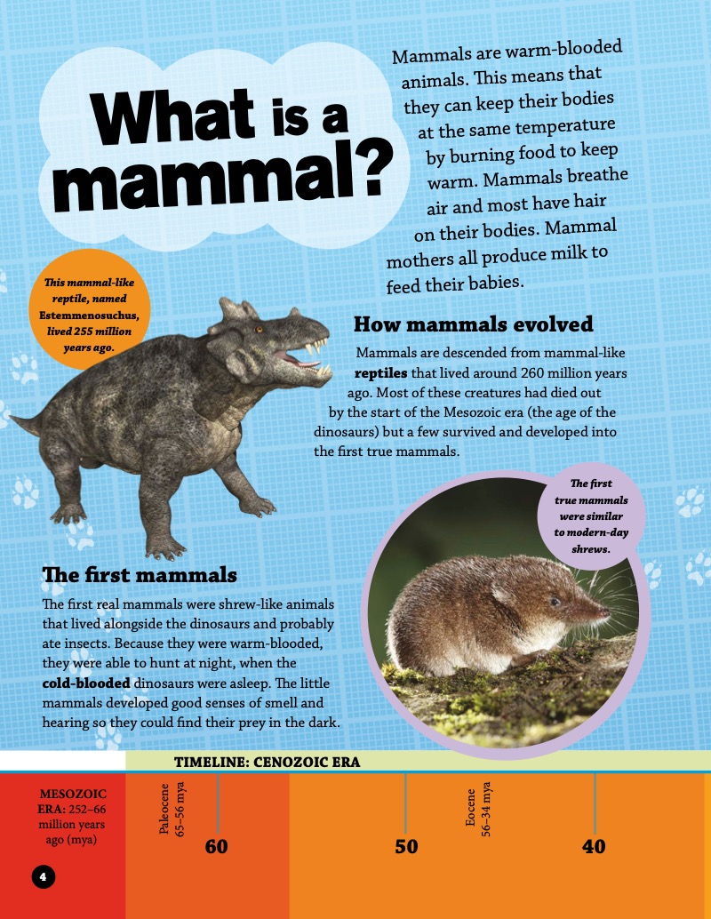 Why Do Mammals Have Fur?: And Other Questions About Evolution and Classification — page 1