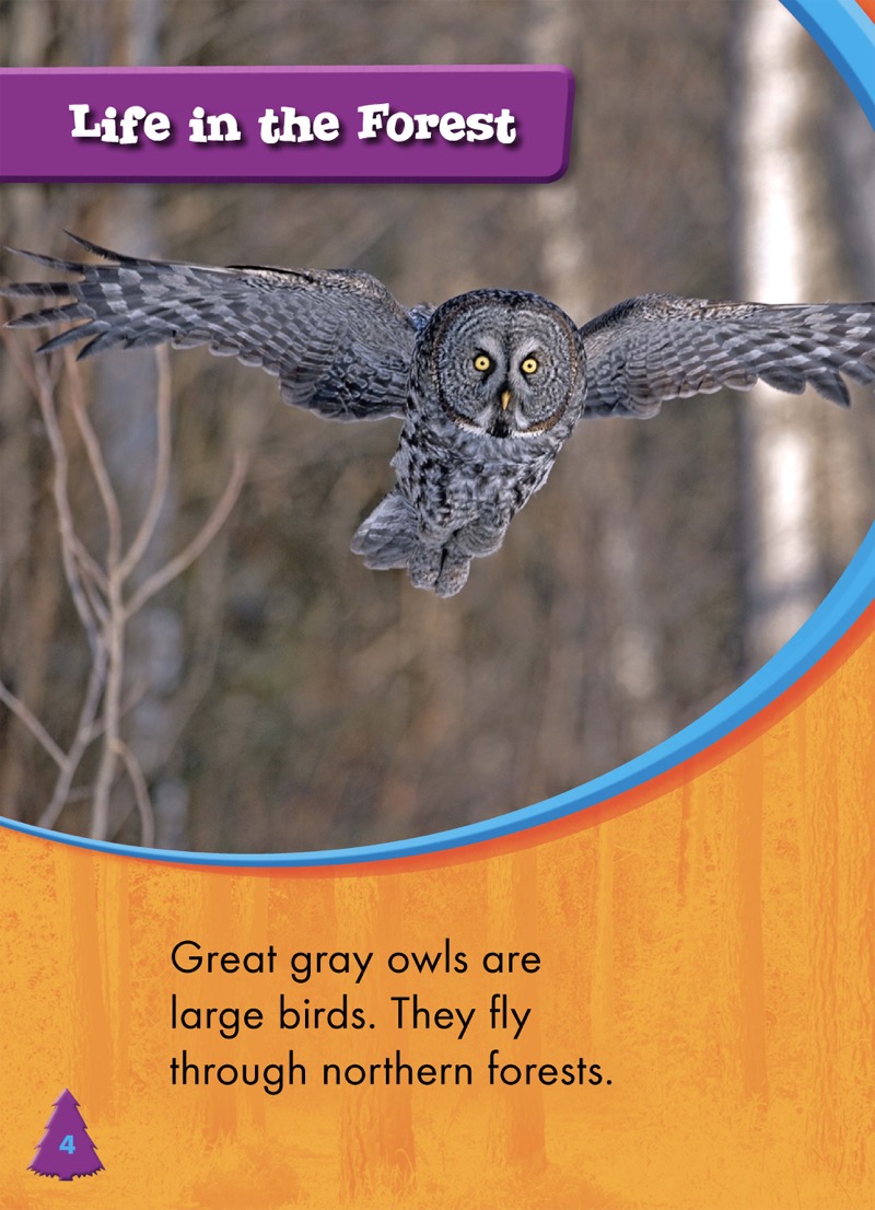 Animals of the Forest: Great Gray Owls — page 1