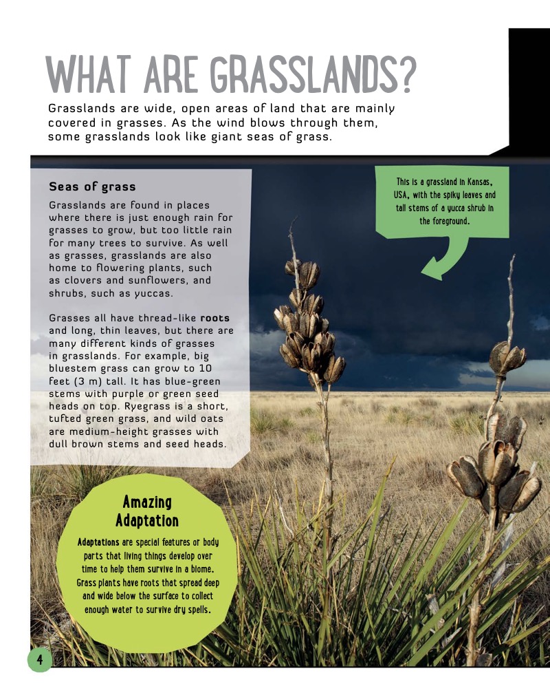 Grassland Biomes — page 1