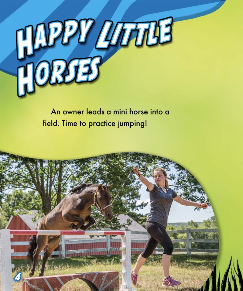 My Pet Mini Horse — page 1