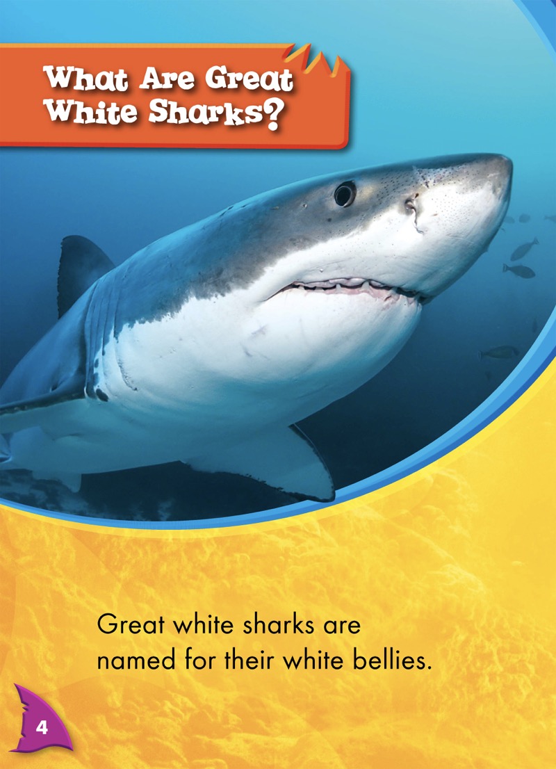 Shark Frenzy: Great White Sharks — page 1