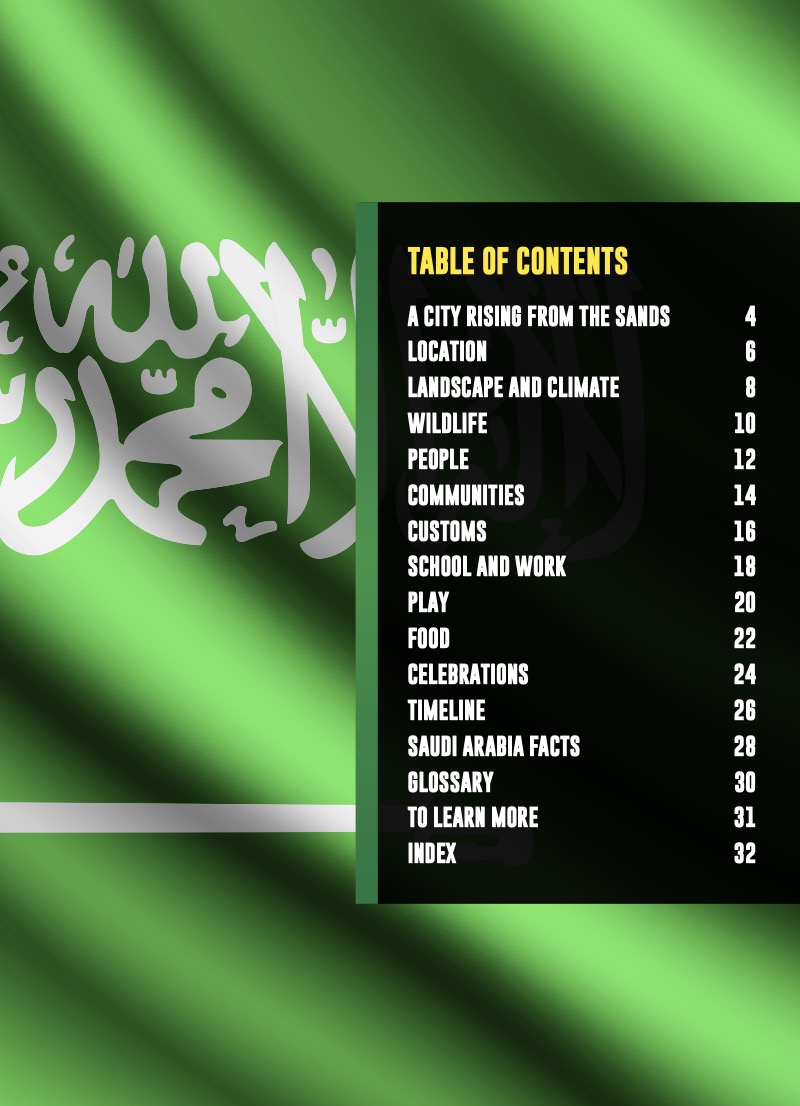 Country Profiles: Saudi Arabia book cover