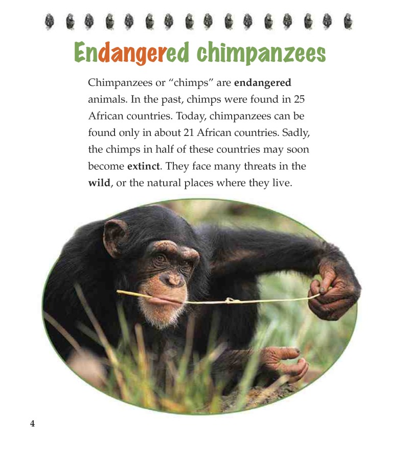 Endangered Chimpanzees — page 1