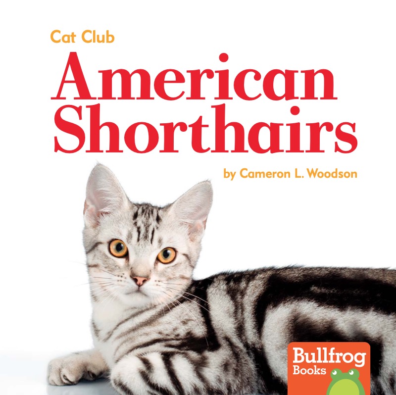 Cat Club: American Shorthairs book cover