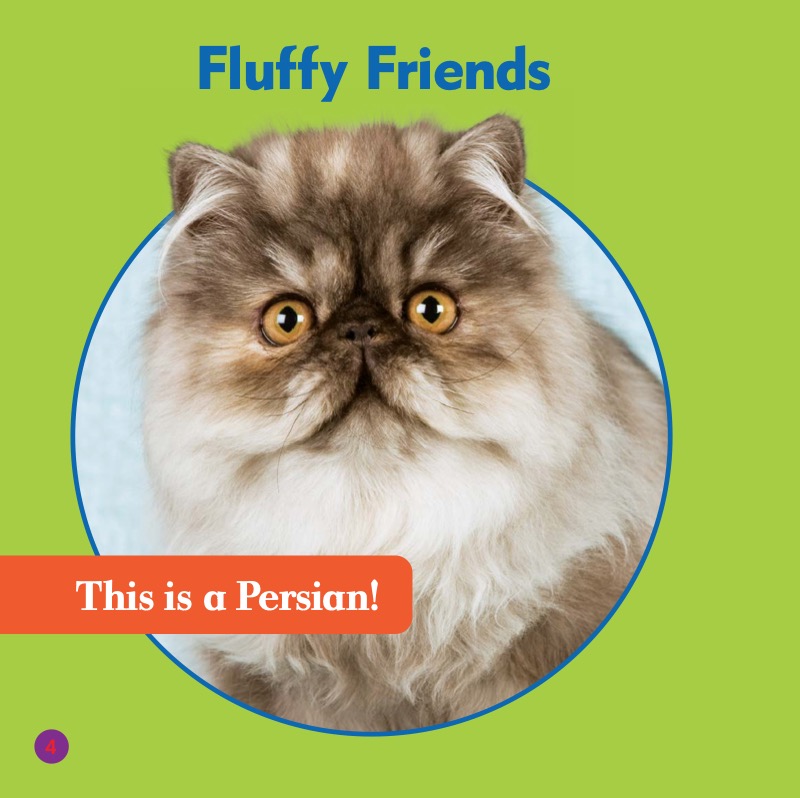 Cat Club: Persians — page 1
