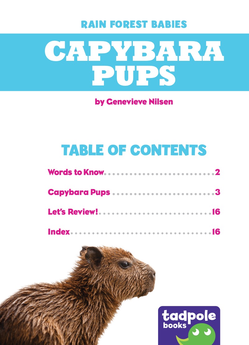 Rain Forest Babies: Capybara Pups book cover