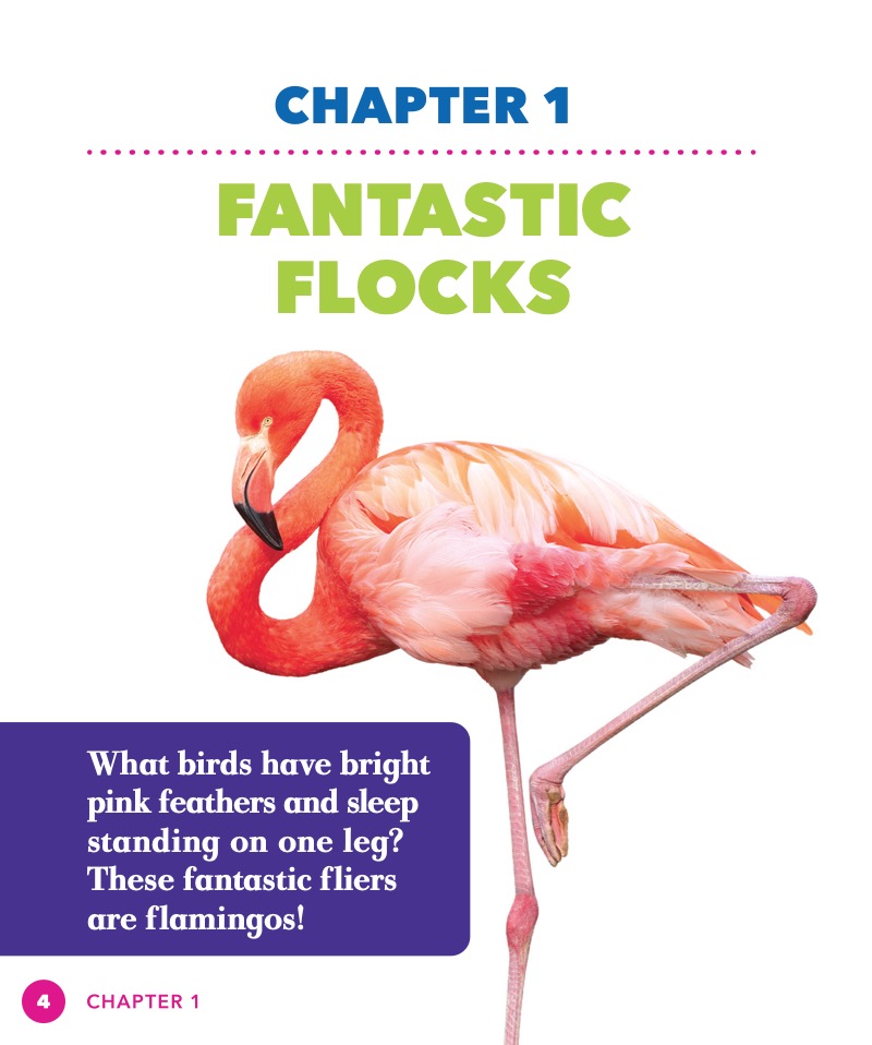 Science Behind the Colors: Flamingos — page 1