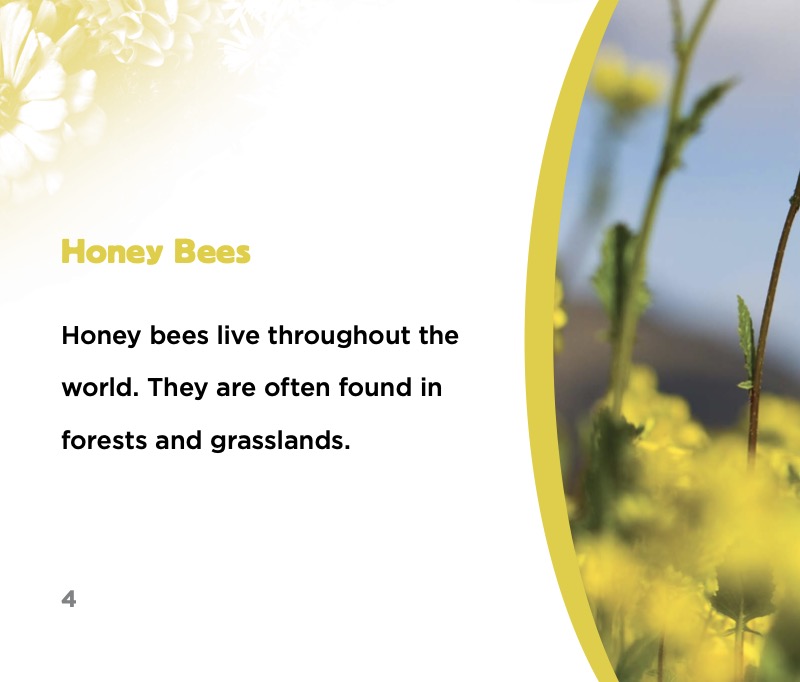 Little Activists: Help the Honey Bees — page 1