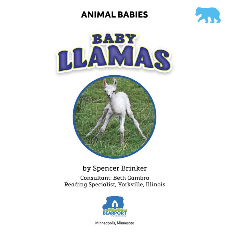 Animals Babies: Baby Llamas book cover