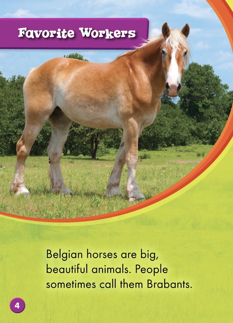 Saddle Up!: Belgian Horses — page 1