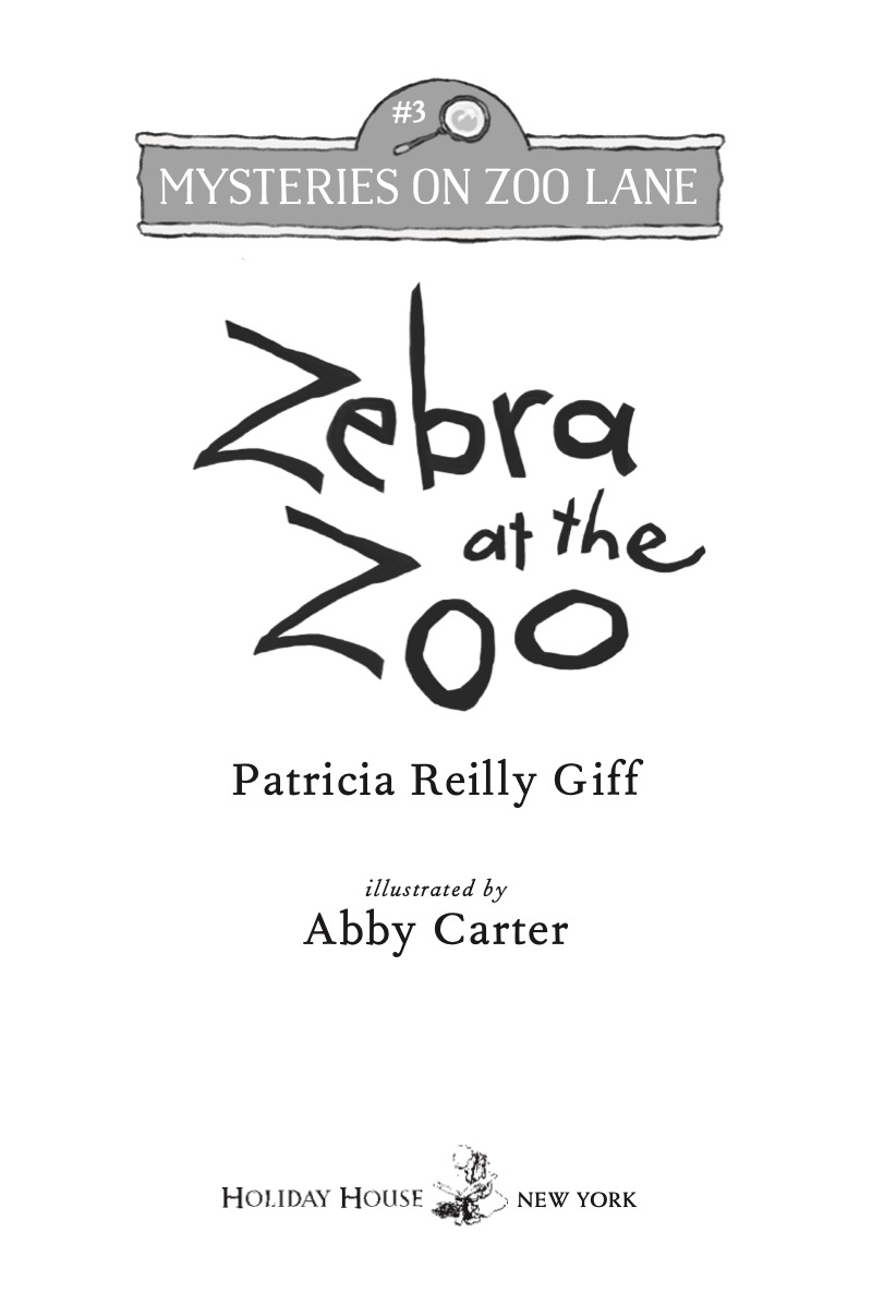 Mysteries On Zoo Lane: Zebra At The Zoo book cover
