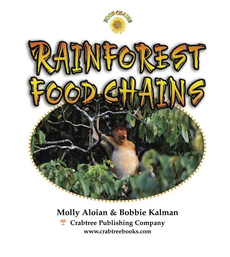 Rainforest Food Chains book cover