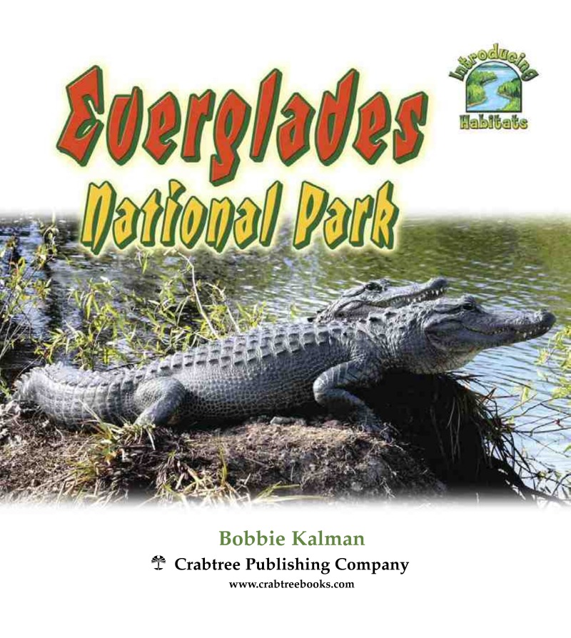Everglades National Park book cover