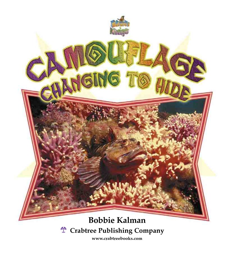 Camouflage: Changing to Hide book cover