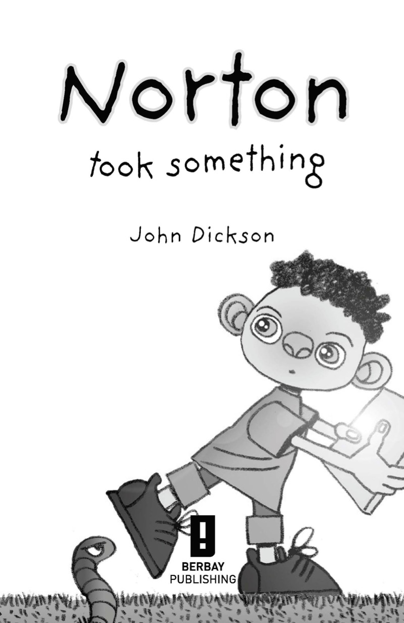 Norton Took Something book cover