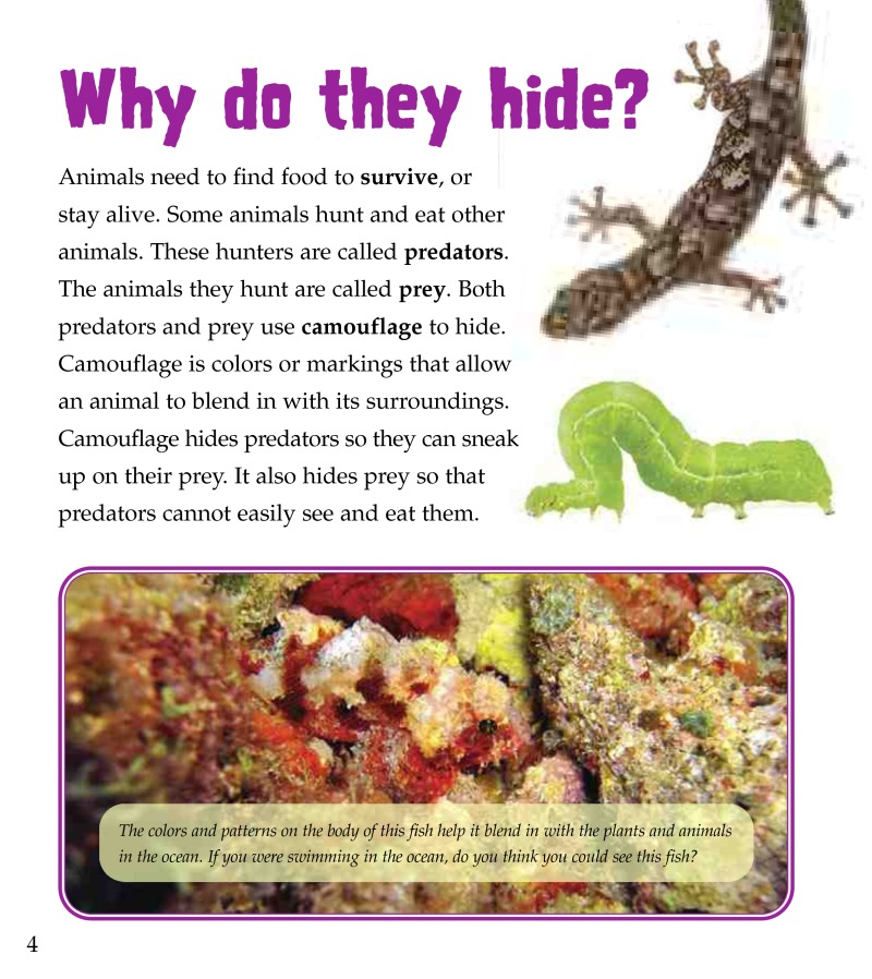 What are Nature's Copycats? — page 1