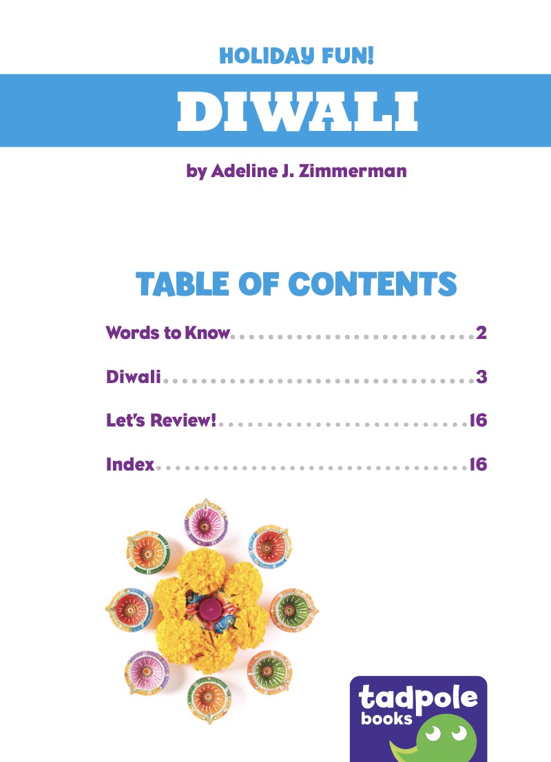 Holiday Fun!: Diwali book cover