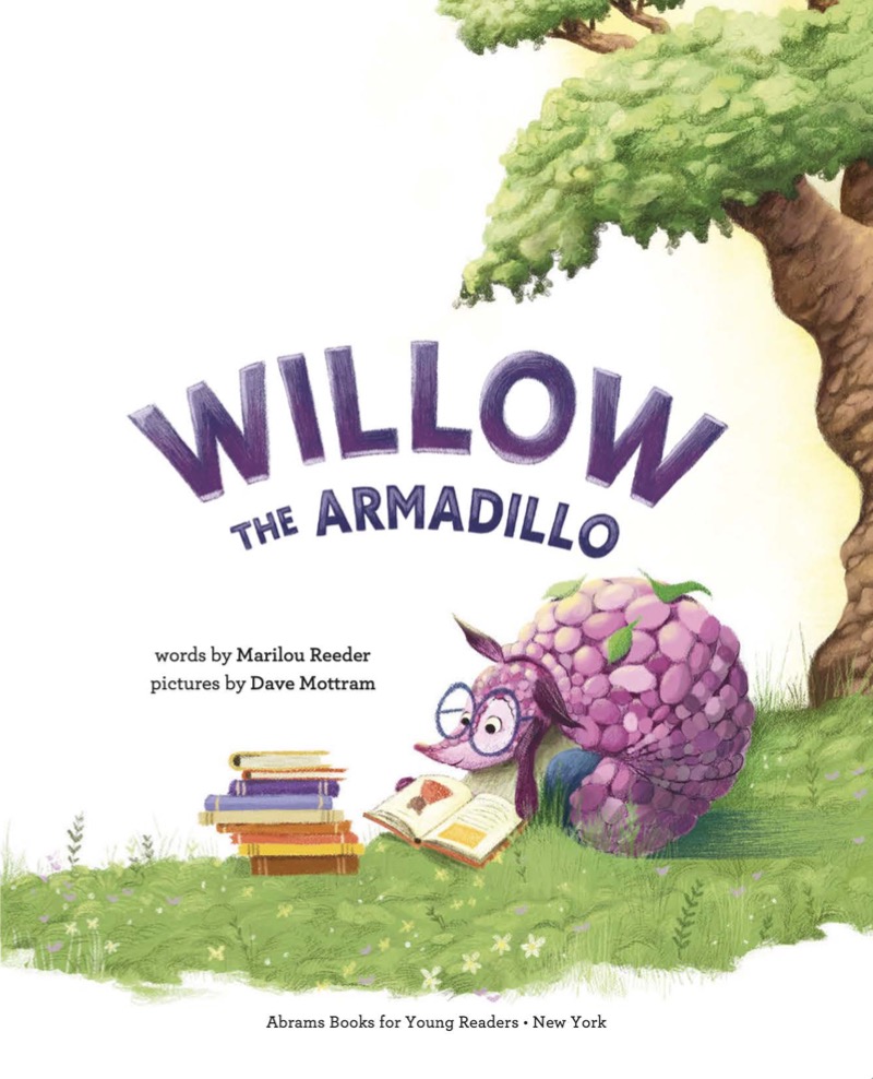 Willow the Armadillo book cover