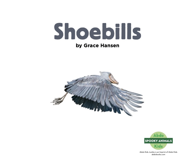 Spooky Animals: Shoebills book cover