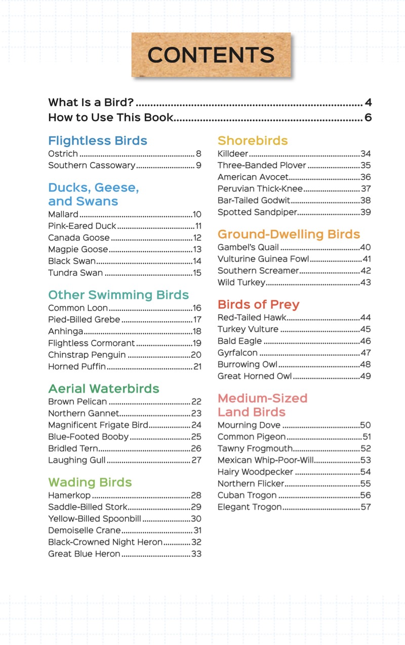 Field Guides for Kids: Birds — page 1