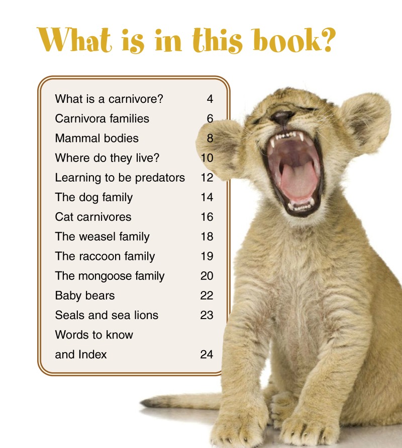 Baby Carnivores book cover