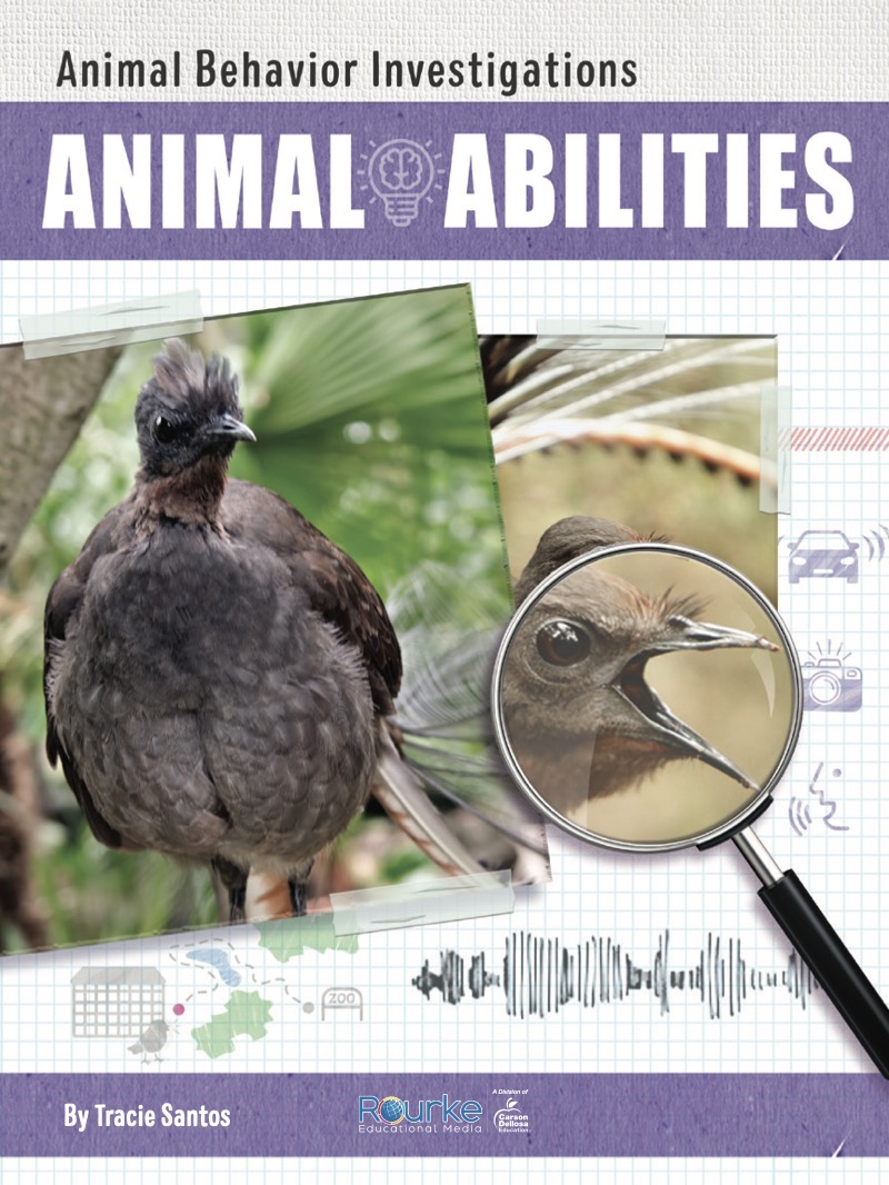Animal Behavior Investigations: Animal Abilities book cover