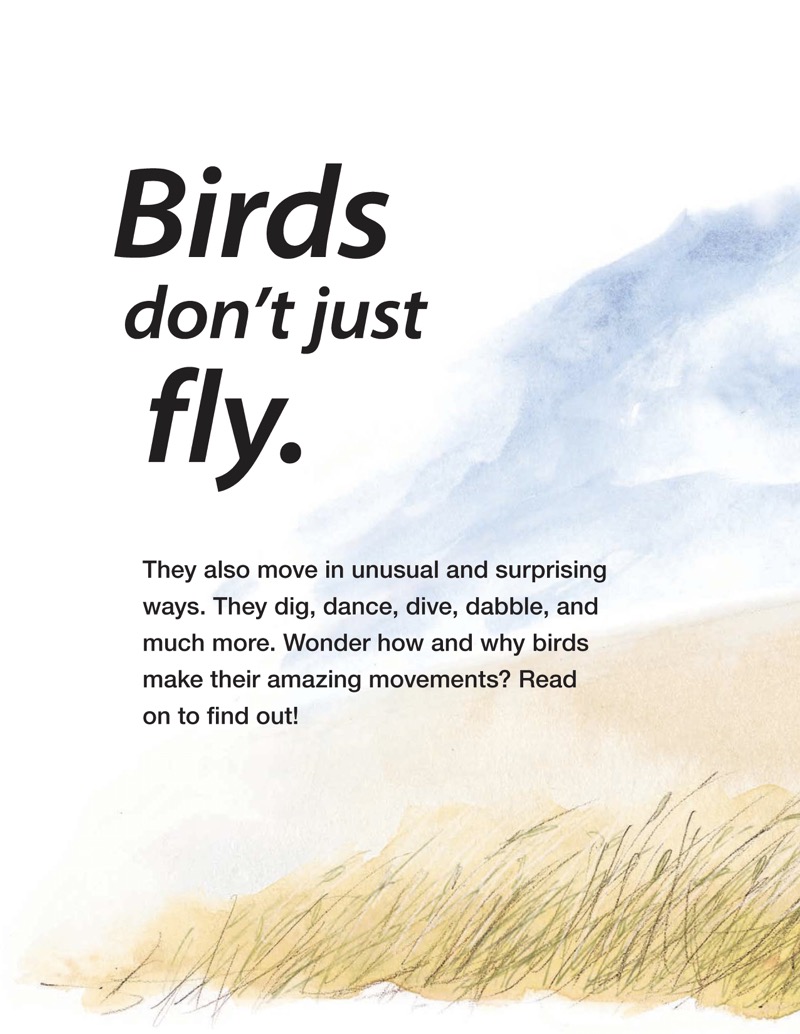Dig, Dance, Dive: How Birds Move to Survive — page 1