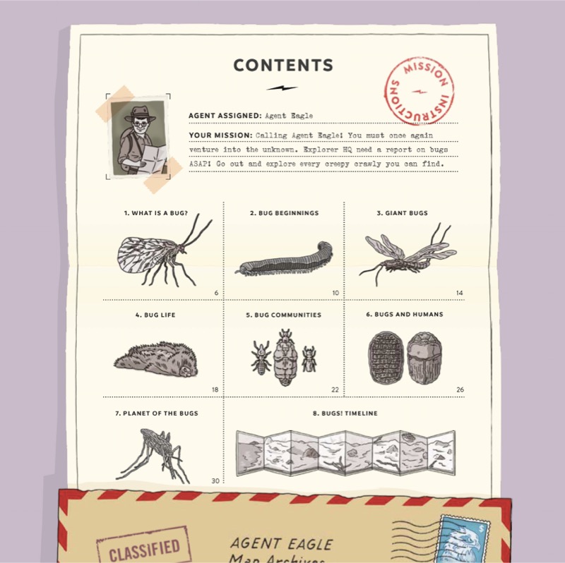Explorer: Bugs! book cover