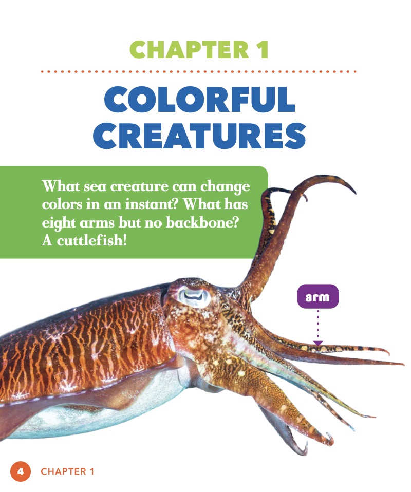 Science Behind the Colors: Cuttlefish — page 1