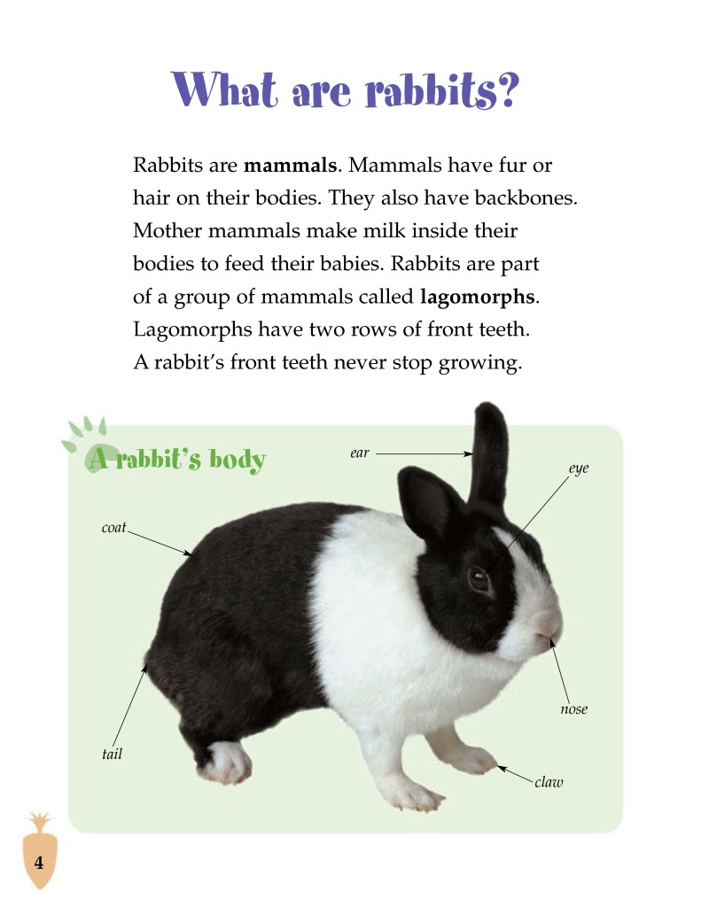 Rabbits (Pet Care) — page 1